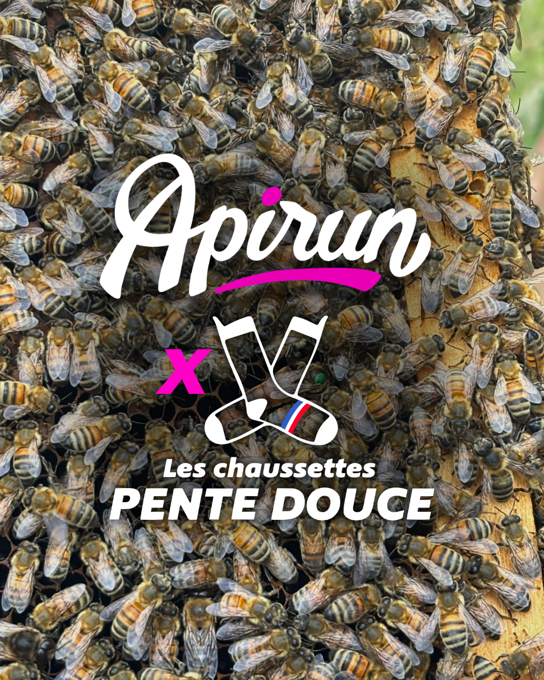 La Apirun ♻️