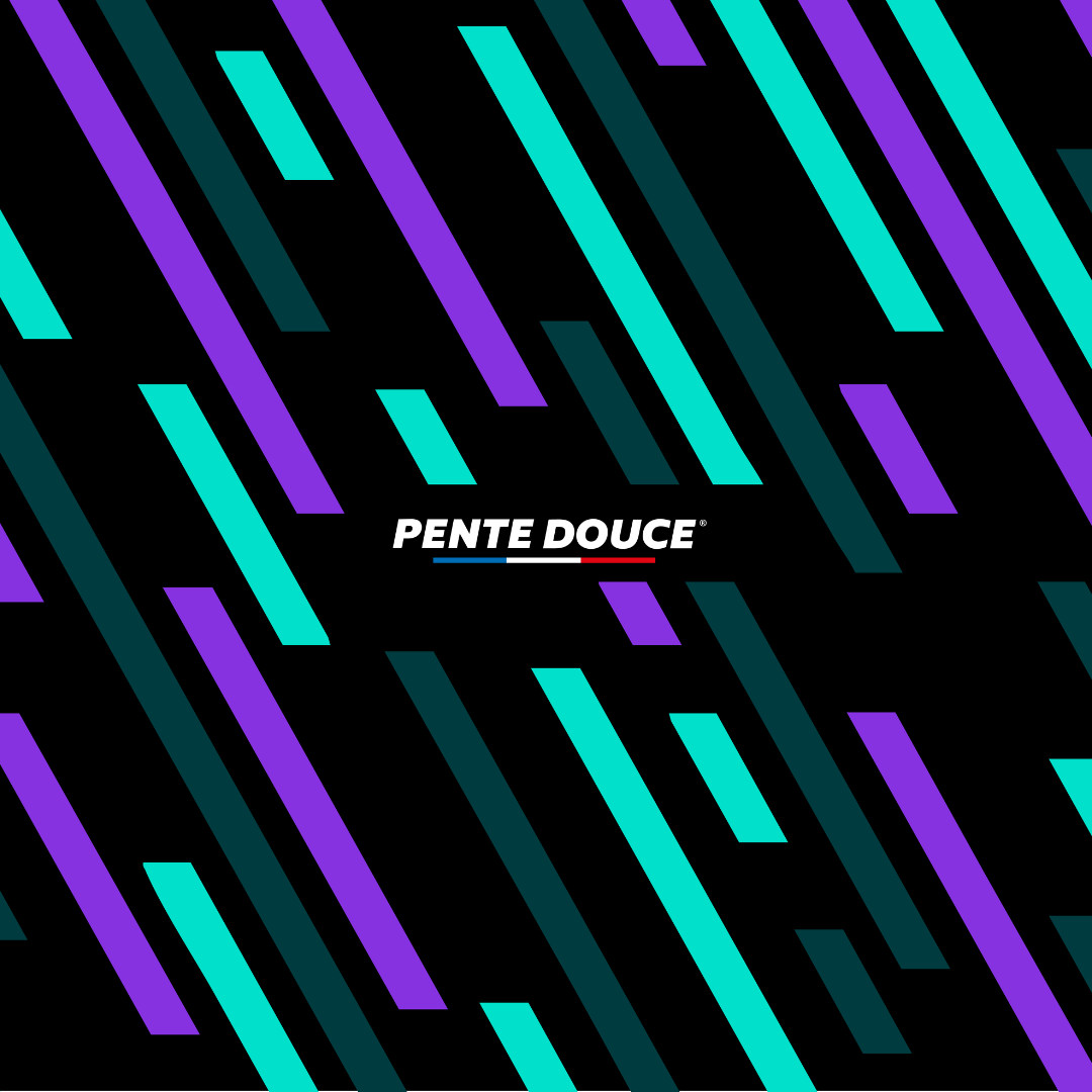 Tour de cou multifonction - Le vitesse violet