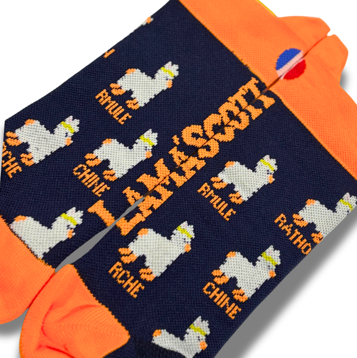 Chaussettes de running - La Lama