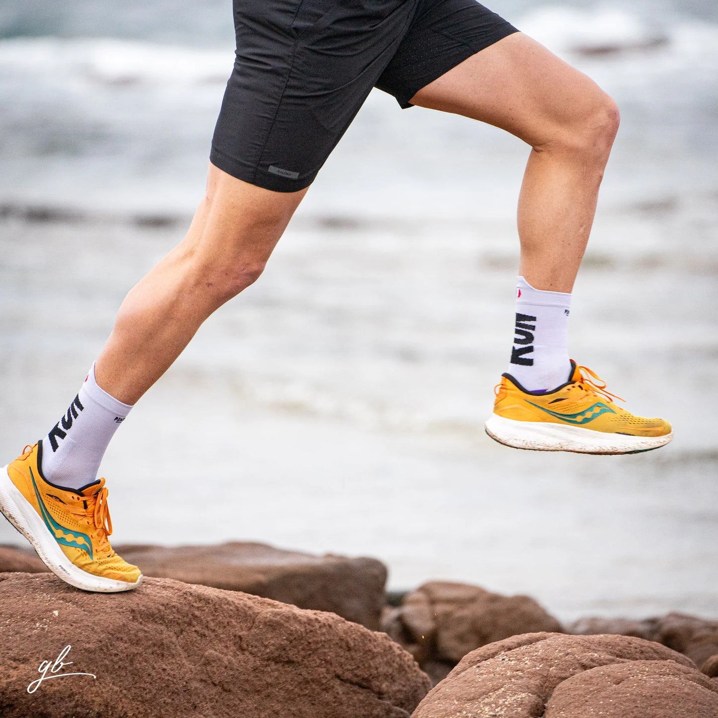 Box running - Blanche violette